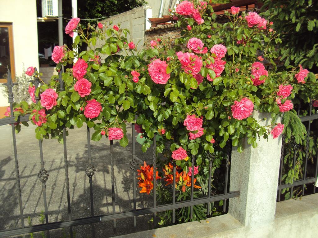 Amfora Guest House Bjała Zewnętrze zdjęcie