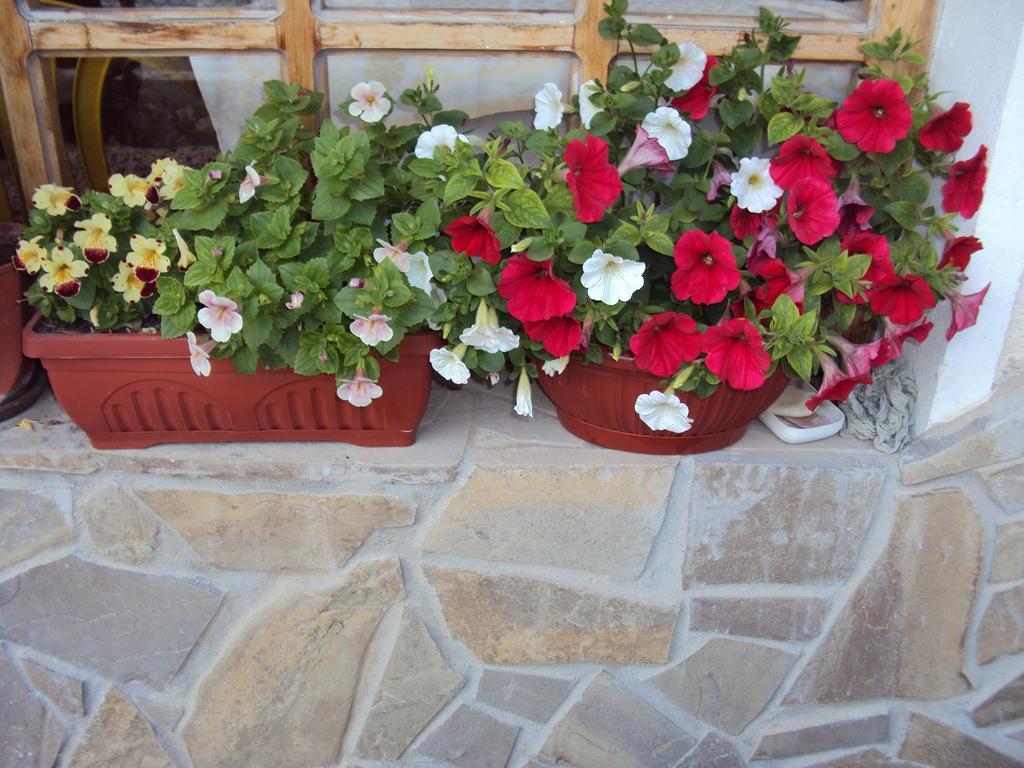 Amfora Guest House Bjała Zewnętrze zdjęcie